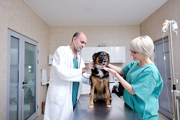 Image showing veterinarian and assistant in a small animal clinic