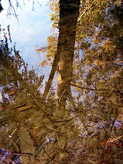 Image showing Mirrored in the water. Nicosia. Cyprus