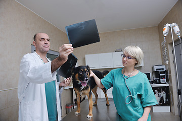 Image showing veterinarian and assistant in a small animal clinic