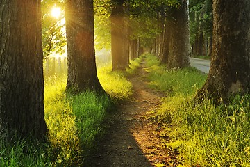 Image showing sunrise in beautiful alley