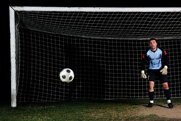 Image showing goalkeeper