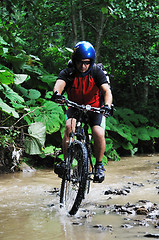 Image showing mountain bike