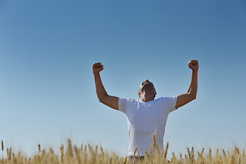 Image showing man in wheat field