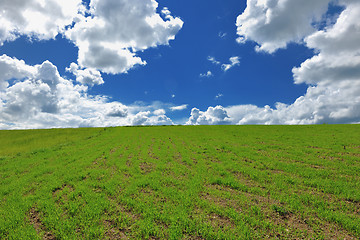 Image showing grass and sky nature backgrond