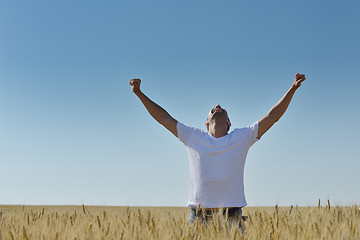 Image showing man in wheat field