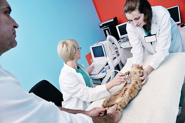 Image showing veterinarian and assistant in a small animal clinic