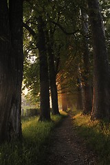 Image showing sunrise in beautiful alley