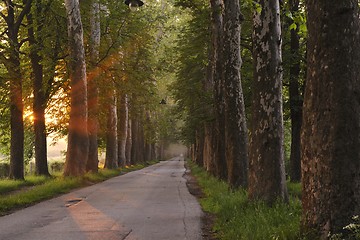 Image showing sunrise in beautiful alley