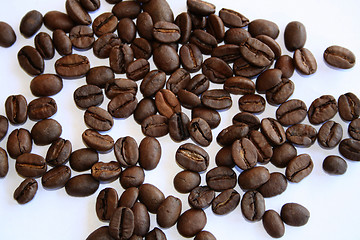 Image showing Coffee-beans