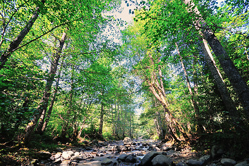 Image showing fresh water