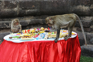 Image showing Monkeys dig into the food at the annual Monkey Buffet Festival i