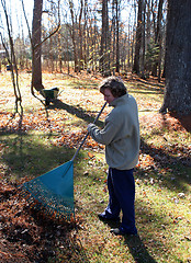 Image showing Man working in the garden