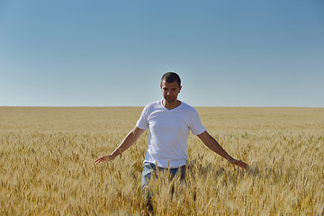 Image showing man in wheat field