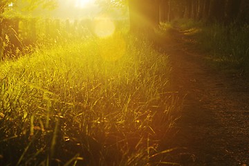 Image showing sunrise in beautiful alley