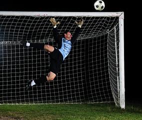 Image showing goalkeeper