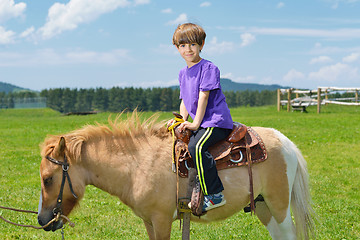 Image showing child ride pony