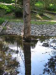 Image showing See it in the water. Nicosia. Cyprus