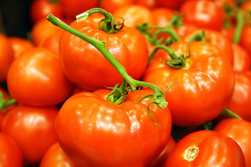 Image showing Red tomatoes