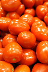 Image showing Red tomatoes