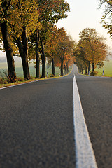 Image showing country road