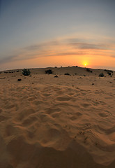 Image showing beautiful sunset in desert