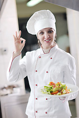 Image showing chef preparing meal