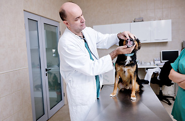 Image showing veterinarian and assistant in a small animal clinic