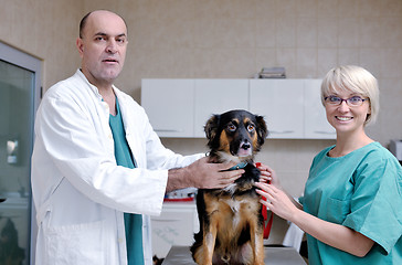 Image showing veterinarian and assistant in a small animal clinic