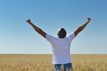 Image showing man in wheat field