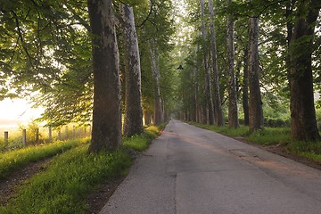 Image showing sunrise in beautiful alley