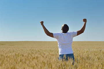 Image showing man in wheat field