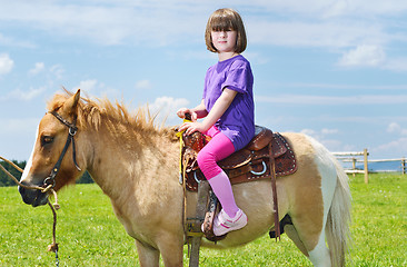 Image showing child ride pony