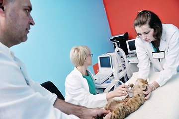 Image showing veterinarian and assistant in a small animal clinic