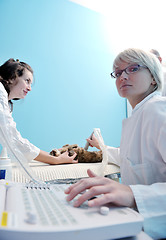 Image showing veterinarian and assistant in a small animal clinic