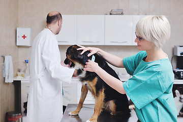 Image showing veterinarian and assistant in a small animal clinic