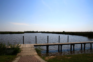 Image showing Neusiedler-Sea