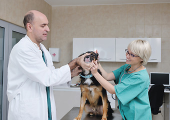 Image showing veterinarian and assistant in a small animal clinic