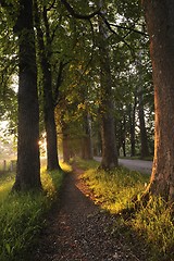 Image showing sunrise in beautiful alley