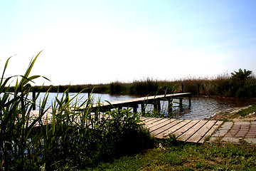 Image showing Neusiedler-Sea