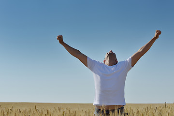 Image showing man in wheat field