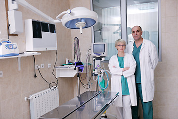 Image showing veterinarian and assistant in a small animal clinic