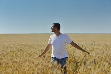 Image showing man in wheat field