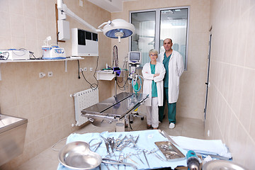 Image showing veterinarian and assistant in a small animal clinic