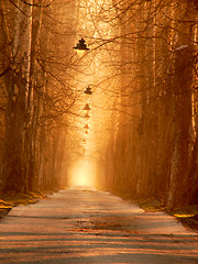 Image showing sunrise in beautiful alley