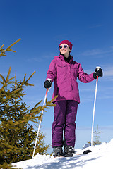 Image showing winter woman ski