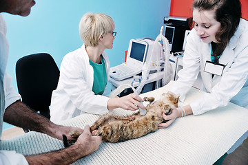 Image showing veterinarian and assistant in a small animal clinic