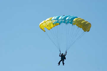 Image showing Skydiver