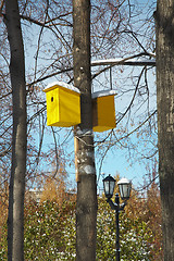 Image showing Birdhouses by the birch.