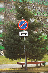 Image showing Sign and fir