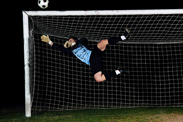 Image showing goalkeeper